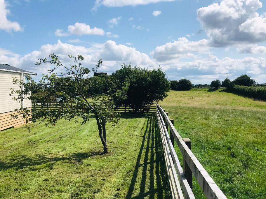 Plum Tree Set In 2 Acres Of Private Land * Coundon