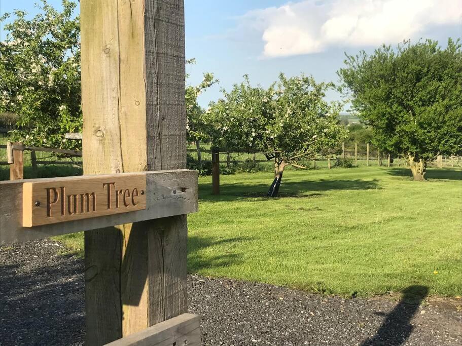 Plum Tree Set In 2 Acres Of Private Land * Coundon