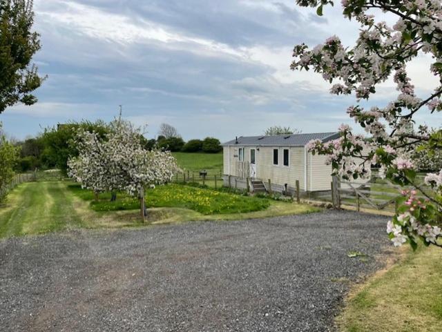 Apartment Plum Tree Set In 2 Acres Of Private Land